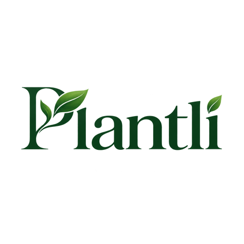 Plantli