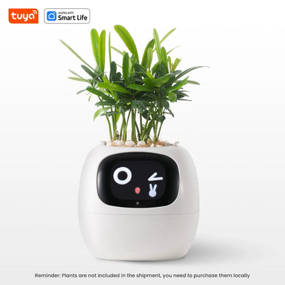 Plantli™ - AI Smart Planter