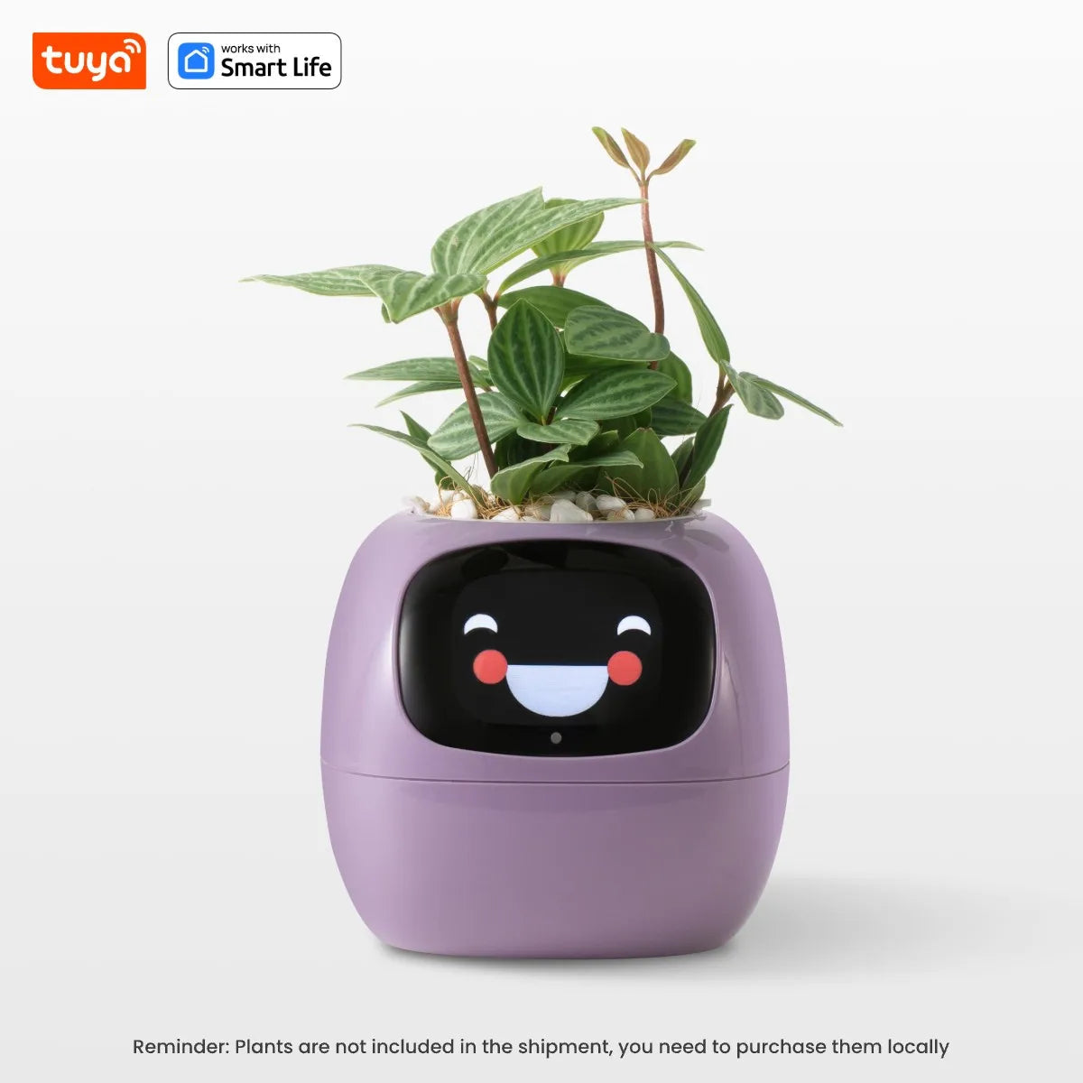 Plantli™ - AI Smart Planter