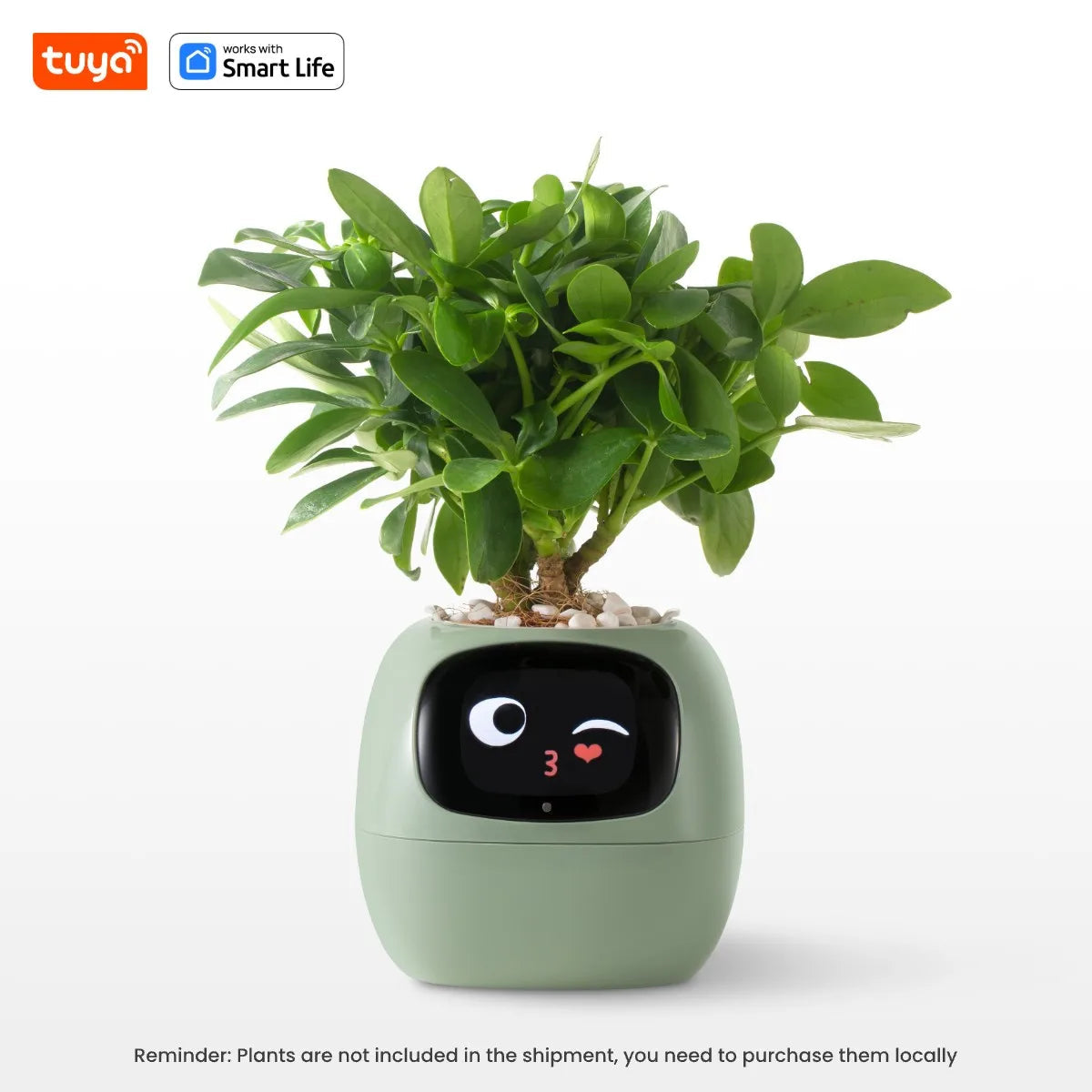 Plantli™ - AI Smart Planter