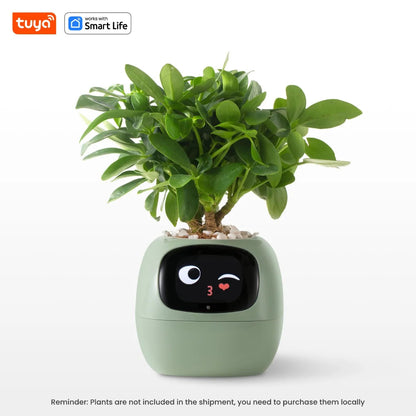 Plantli™ - AI Smart Planter